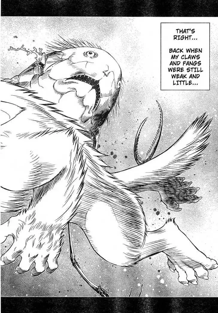 Battle Angel Alita: Last Order Chapter 79 11